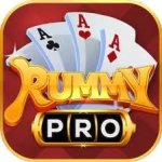 rummy-pro.jpg